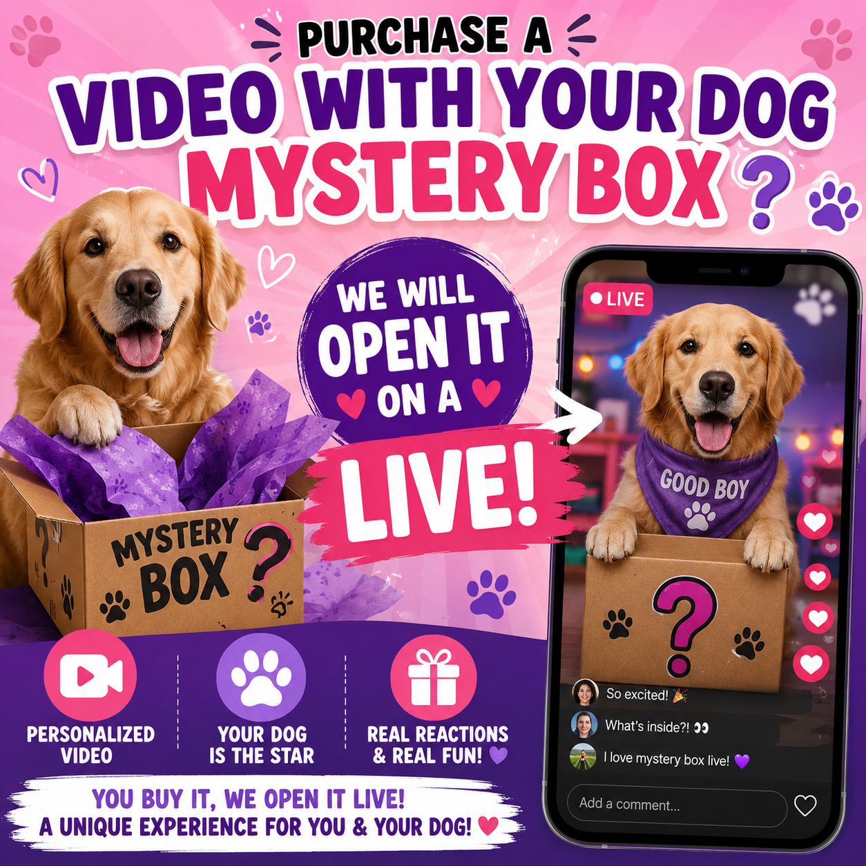 Small Dog Mystery Box