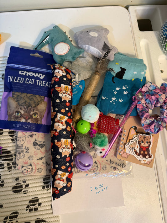 Cat Mystery Box