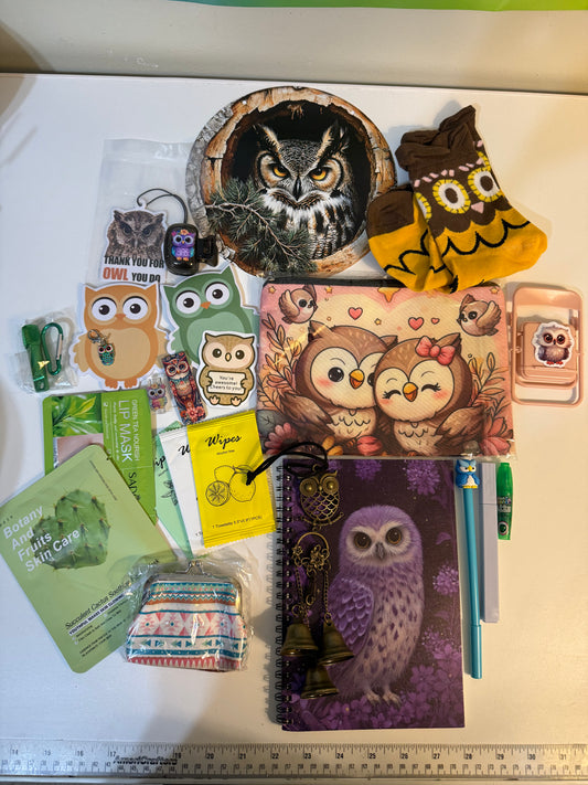 Owl Lovers Box